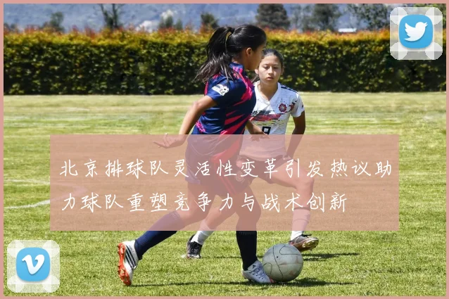 北京排球队灵活性变革引发热议助力球队重塑竞争力与战术创新